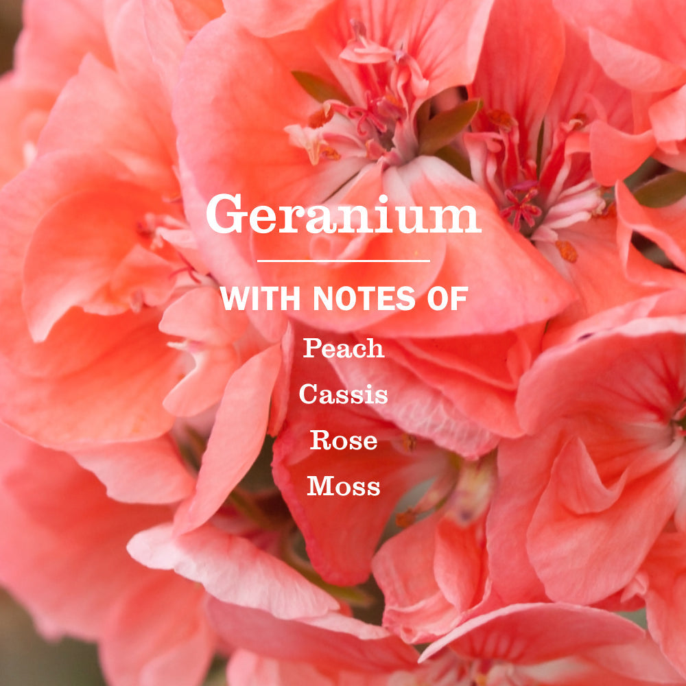 Mrs. Meyer's Geranium Liquid Hand Soap
