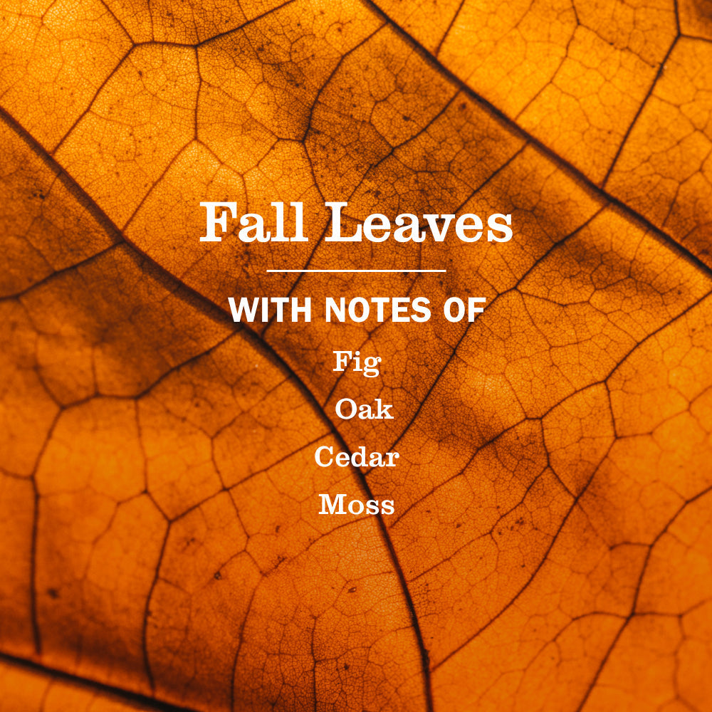 Mrs. Meyer's Fall Leaves Liquid Hand Soap