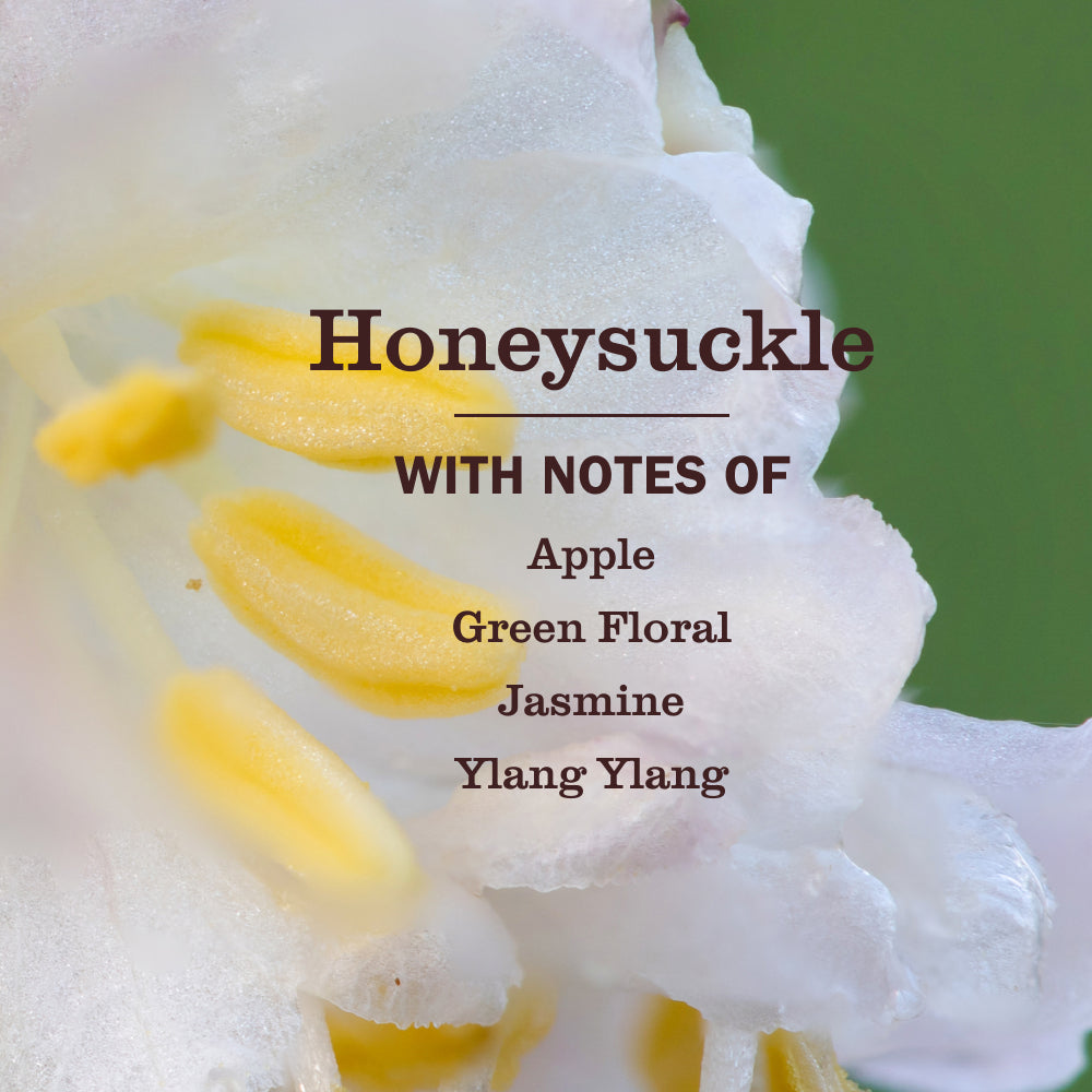 Mrs. Meyer's Honeysuckle Multi-Surface Concentrate