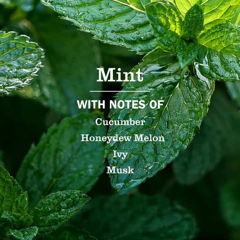 Mrs. Meyer's Mint Multi-Surface Everyday Cleaner