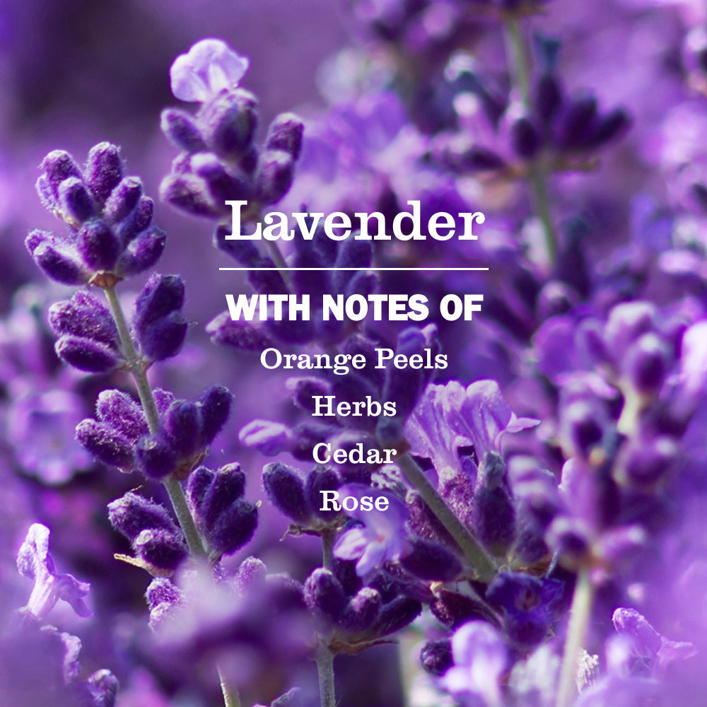 Mrs. Meyer's Lavender Dish Soap Refill