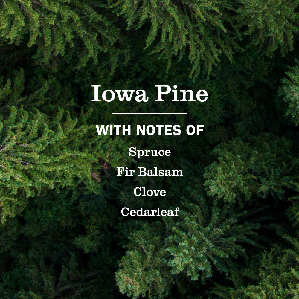 Mrs. Meyer's Iowa Pine Multi-Surface Everyday Cleaner