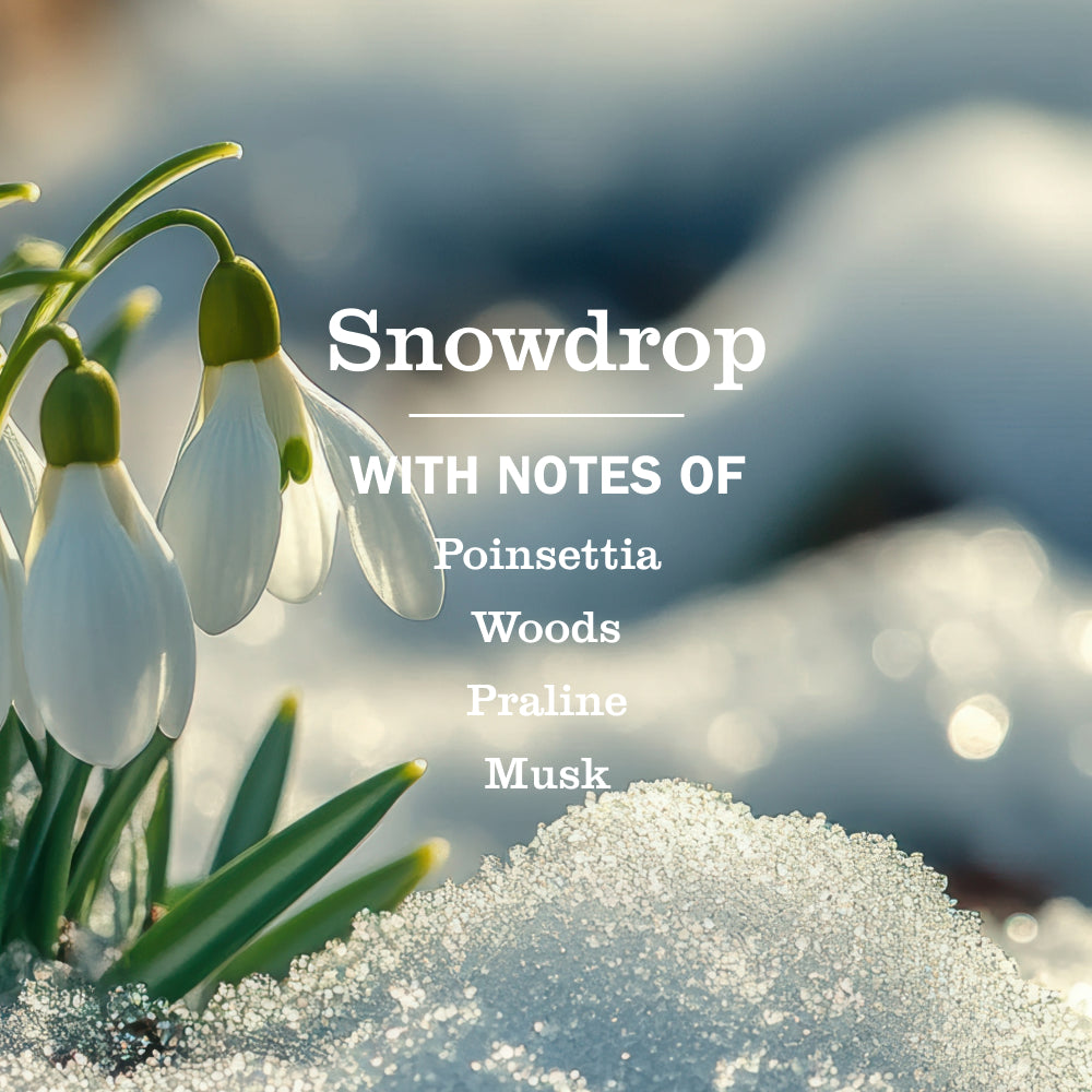 Mrs. Meyer's Snowdrop Dish Soap