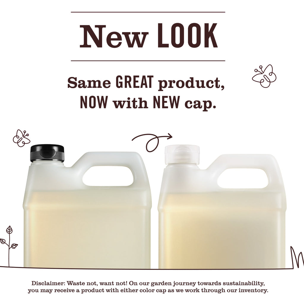 Mrs. Meyer's Plum Berry Liquid Hand Soap Refill